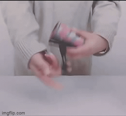 Foldable Travel Shopping Bag